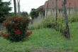 DSC_1089.JPG